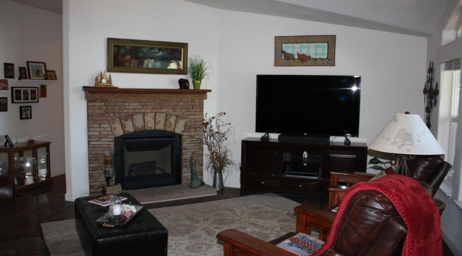 Gas fireplace