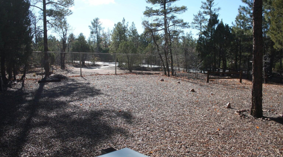 deer ln back 2
