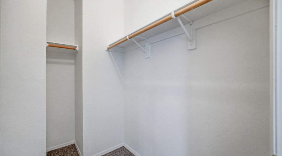 Primary Walk-in Closet
