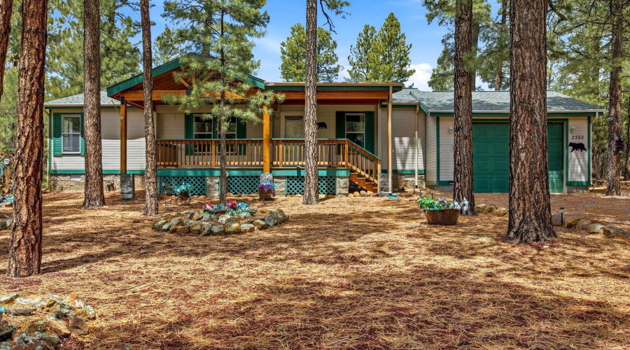 Home in the Pines