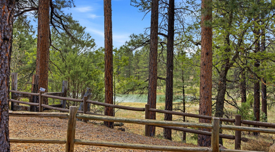 View of the Water