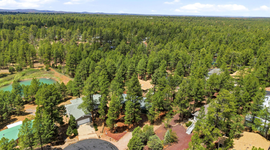 Aerial View of the Community