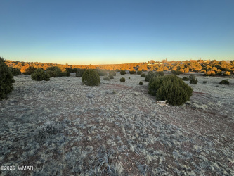 4970 Hollyhock Street, Clay Springs, Arizona 85923, ,Land,For Sale,Hollyhock,261018