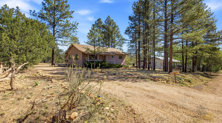 1924LittleDoeTrail-Heber-AZ-1