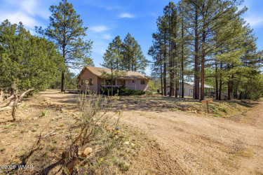 1924 Little Doe Trail, Overgaard, Arizona 85933, Bedrooms, ,Bathrooms,Residential,For Sale,Little Doe,261034