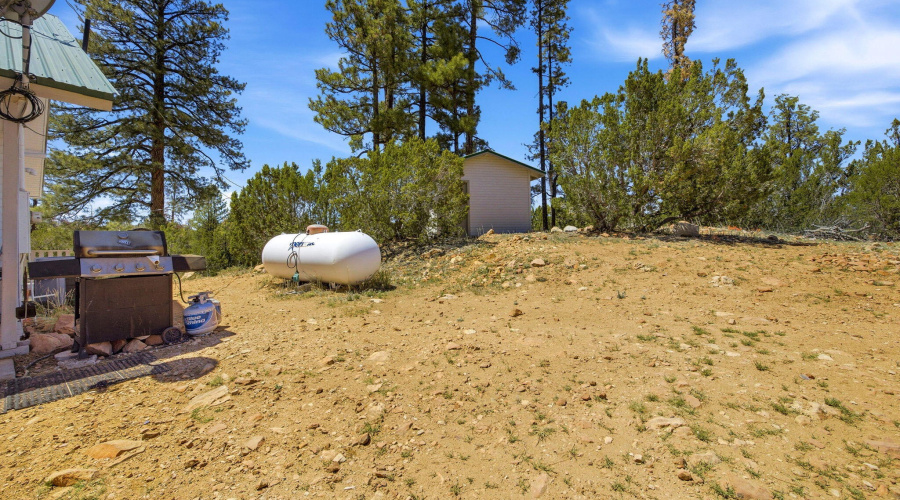 3418AztecDr-Overgaard-AZ-33