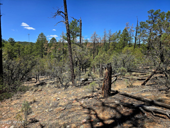 2953 White Mountain, Show Low, Arizona 85901, ,Land,For Sale,White Mountain,261036