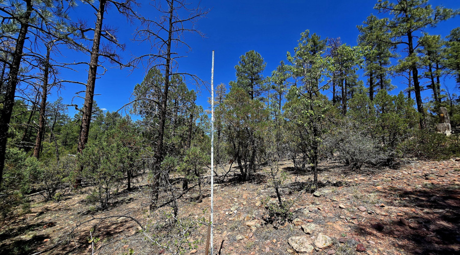 southern side