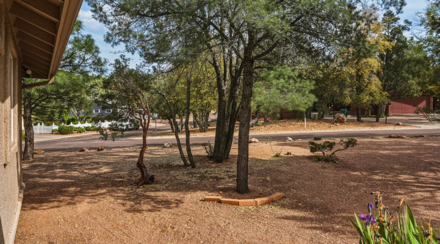 5_dse_0249