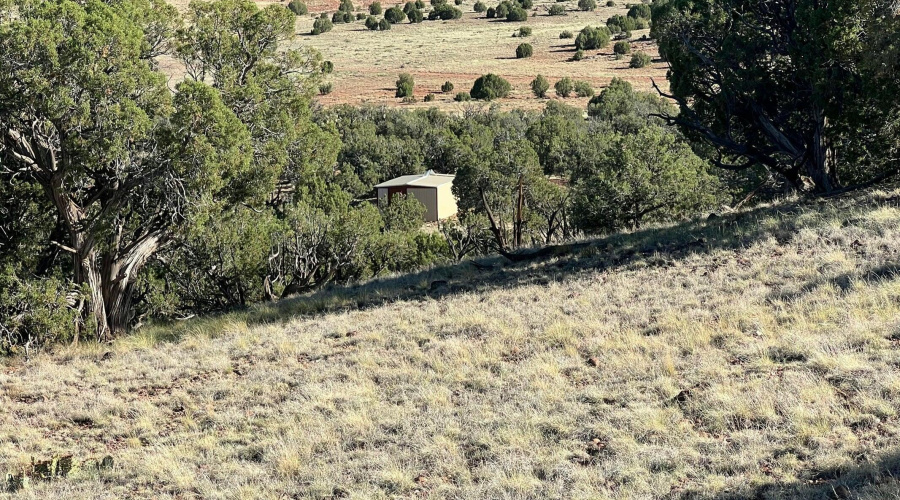 Shed 5