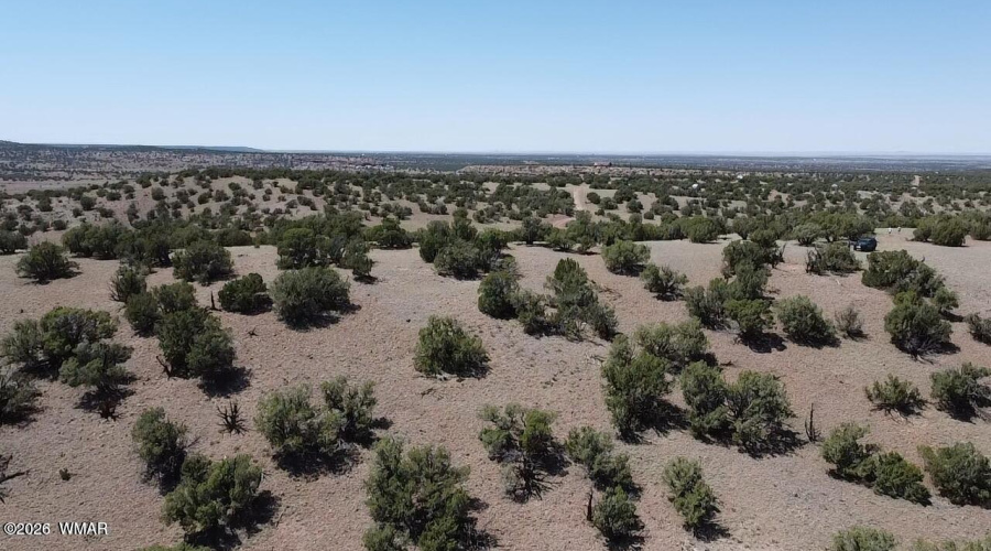 Drone 6