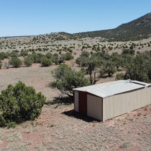 Shed 1