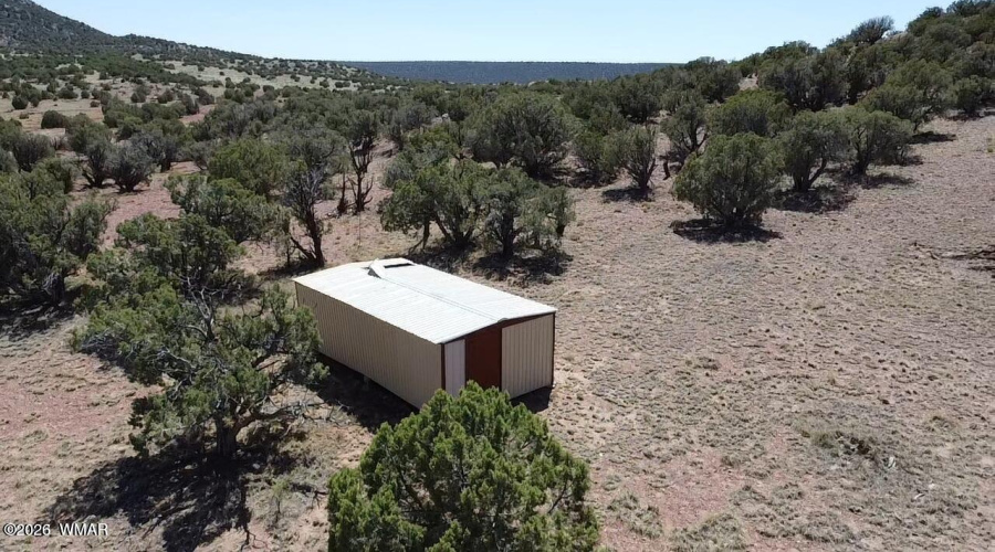 Shed 3