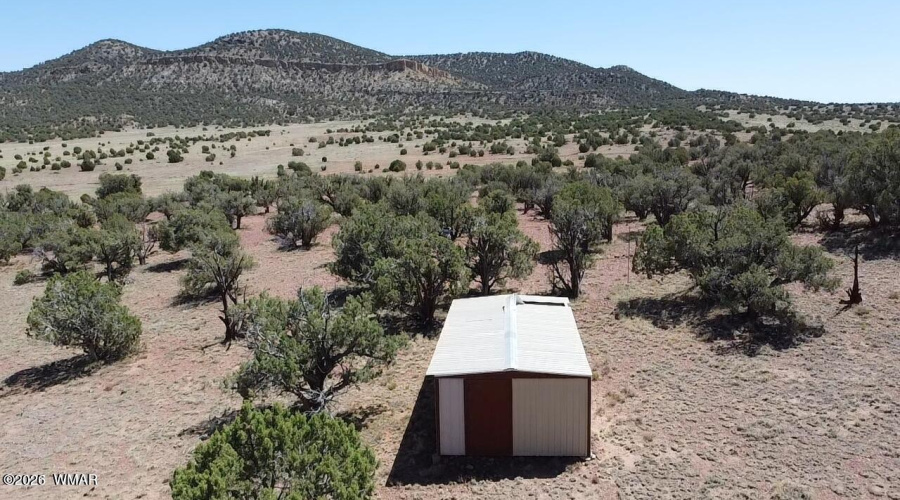 Shed 4
