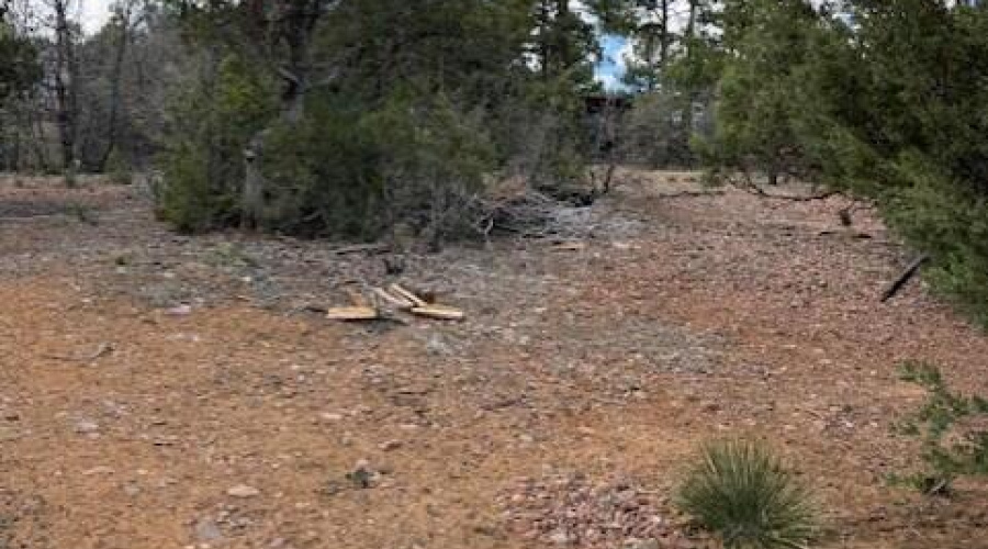 Lot 6
