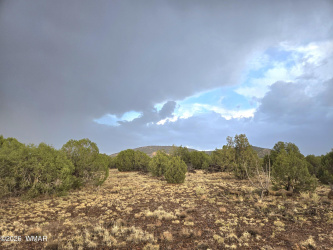 Lot 9 Pinon Valley Ranch, Concho, Arizona 85924, ,Land,For Sale,Pinon Valley Ranch,261013