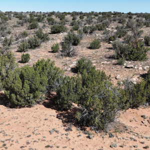 DJI_20260418093718_0008_D