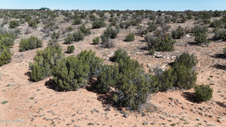TBD Mountain Highlands Boulevard, Snowflake, Arizona 85937, ,Land,For Sale,Mountain Highlands,260708