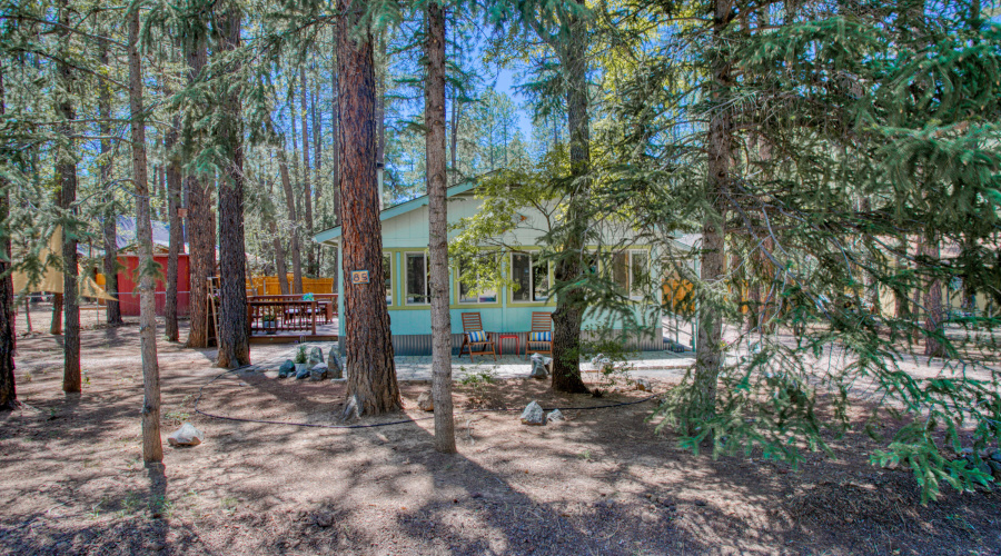 Wooded Lot