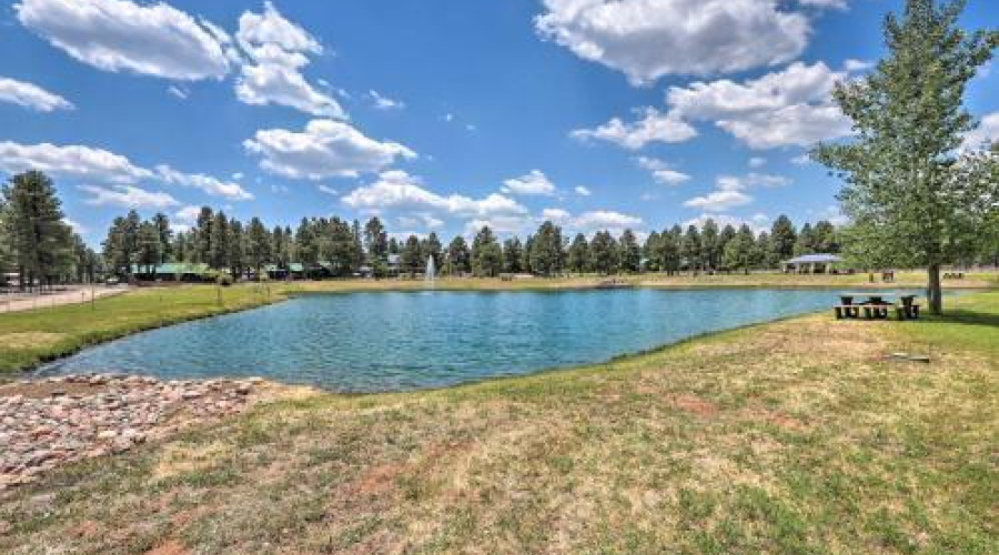 Bison Ranch-Pond