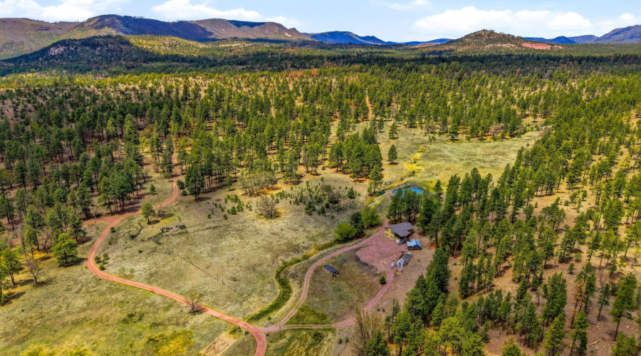 28CountyRd2310-Alpine-AZ-45