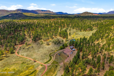 28 County Road 2310, Alpine, Arizona 85920, Bedrooms, ,Bathrooms,Residential,For Sale,County Road 2310,261020
