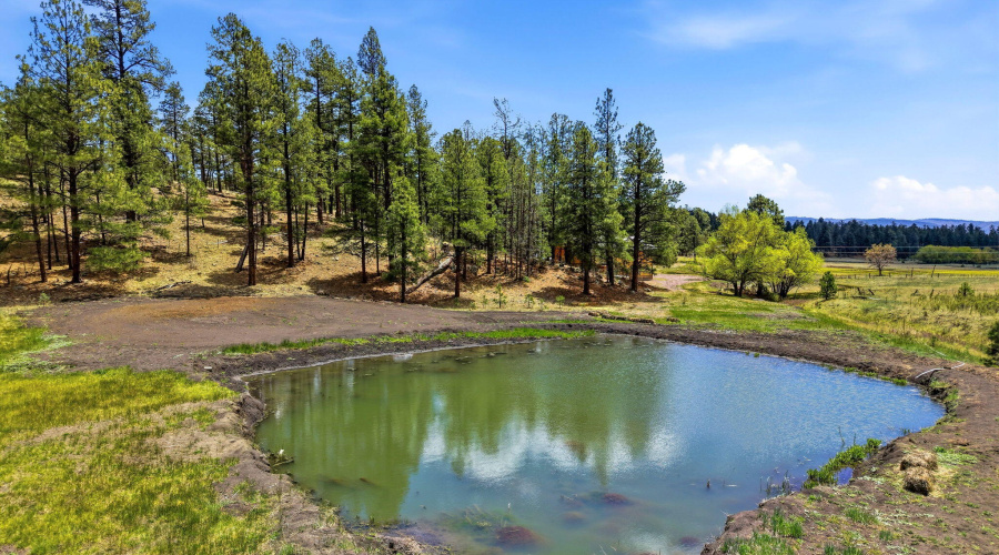 28CountyRd2310-Alpine-AZ-42