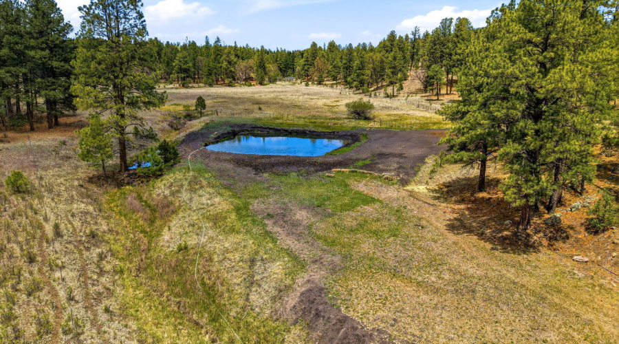28CountyRd2310-Alpine-AZ-44