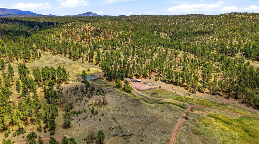 28CountyRd2310-Alpine-AZ-46