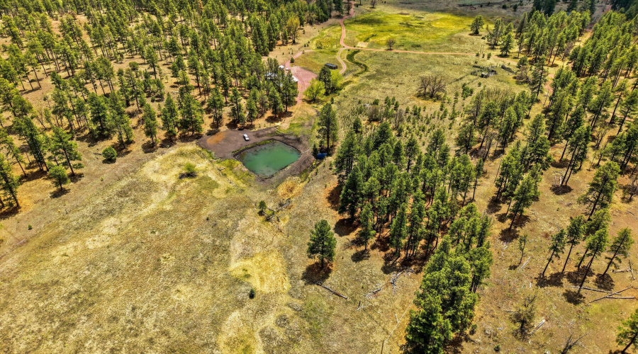 28CountyRd2310-Alpine-AZ-47