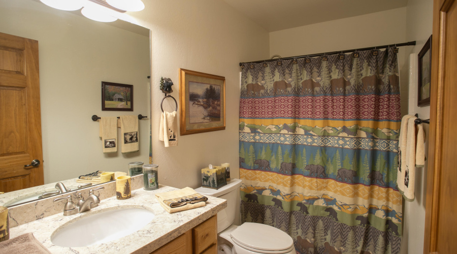 Hall Bath - Tub and Shower