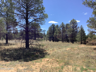 TBD Cedar Bark Trail, Overgaard, Arizona 85933, ,Land,For Sale,Cedar Bark,261057