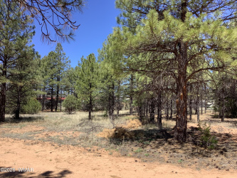 TBD Cedar Bark Trail, Overgaard, Arizona 85933, ,Land,For Sale,Cedar Bark,261056