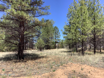 TBD Cedar Bark Trail, Overgaard, Arizona 85933, ,Land,For Sale,Cedar Bark,261055