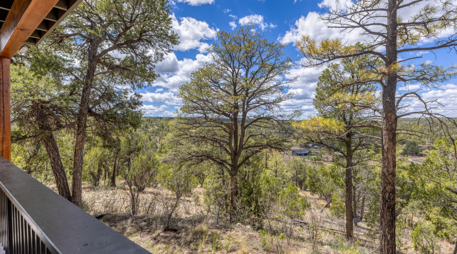 028_photo28_1730_persimmon_lane_heber_ka