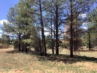 TBD Cedar Bark Trail, Overgaard, Arizona 85933, ,Land,For Sale,Cedar Bark,261045