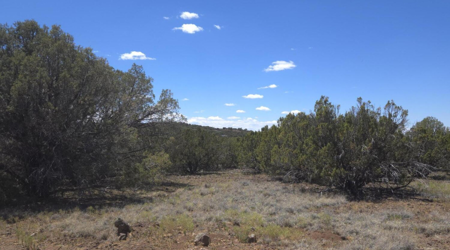 More Open Spaces