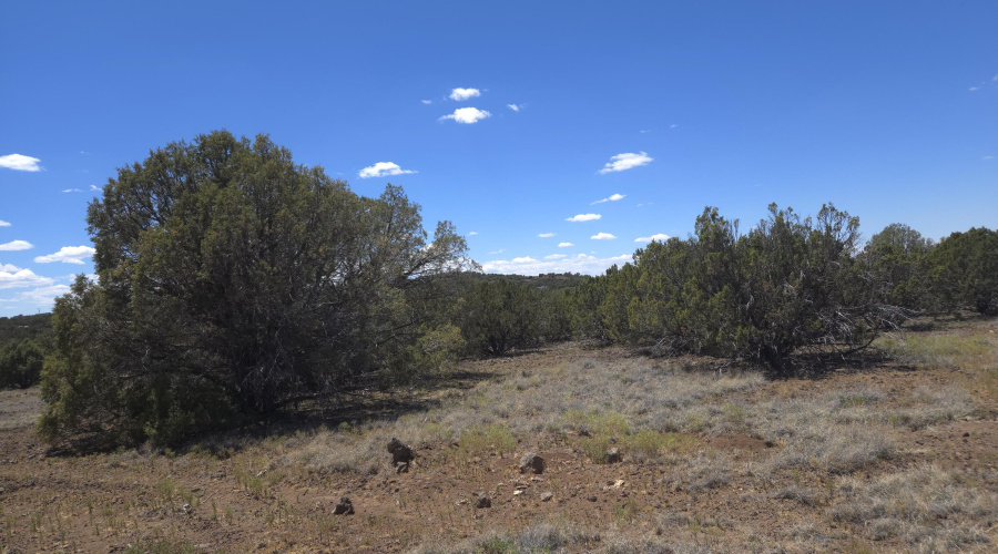 Potential Home or RV Site