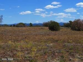 8523 Bobcat Drive, Show Low, Arizona 85901, ,Land,For Sale,Bobcat,261054
