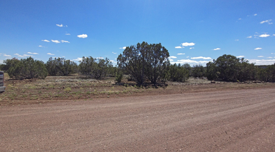 Bobcat Drive