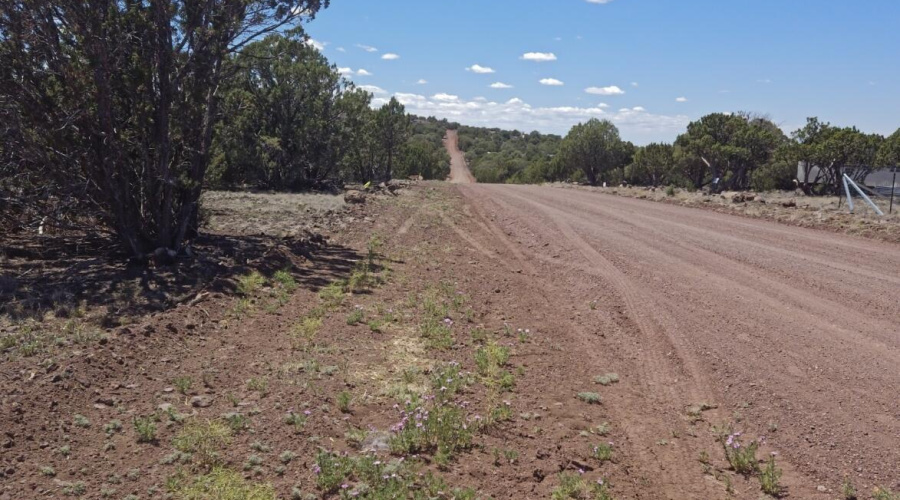 Property line view