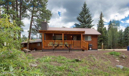 Cabin 88 Rohrer Road, Greer, Arizona 85927, Bedrooms, ,Bathrooms,Residential,For Sale,Rohrer,261046