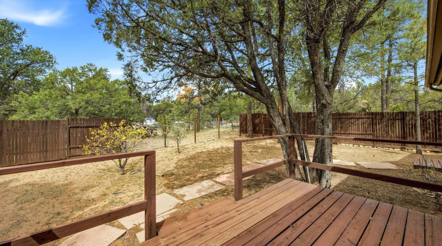 BACK DECK