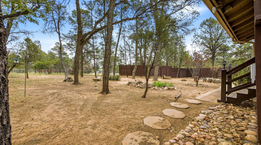 BEAUTIFUL YARD