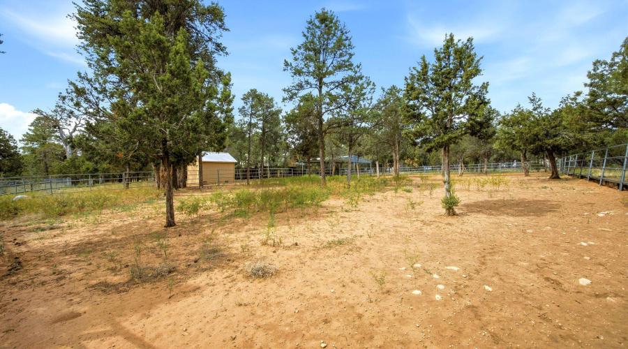 THE YARD