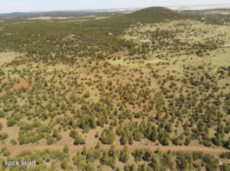 TBD N3263 Parcel 1, Vernon, Arizona 85940, ,Land,For Sale,N3263 Parcel 1,261065