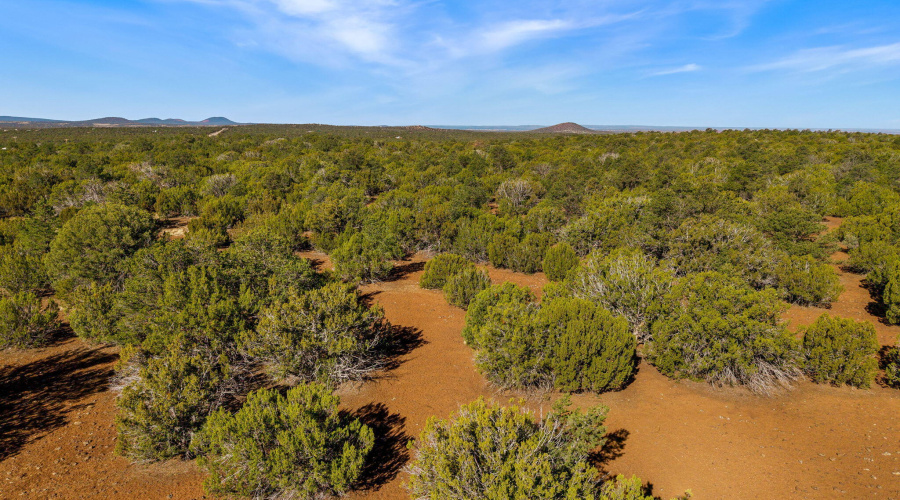 Parcel10750002B-VernonAZ-10