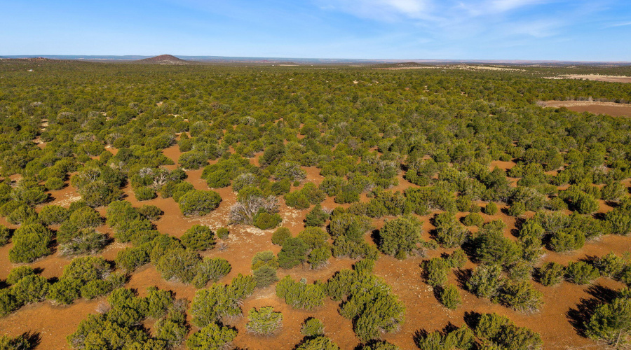 Parcel10750002B-VernonAZ-11