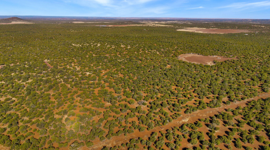 Parcel10750002B-VernonAZ-12