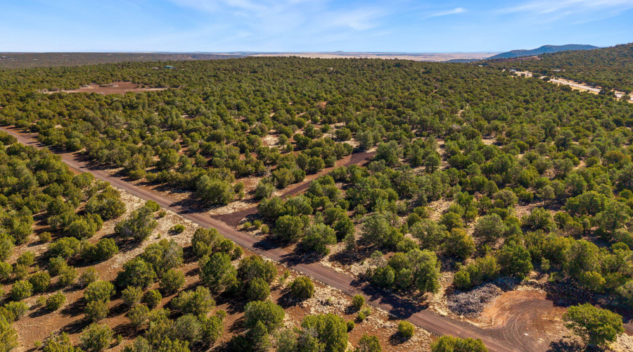 Parcel10750002B-VernonAZ-6